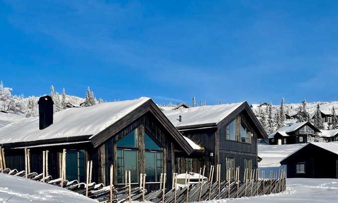 Fla Municipality House | Luxury cabin on Høgevarde, comfort and nature