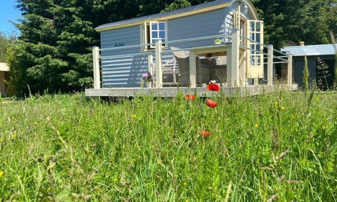 Ham RV Rental | Luxury Glamping Kent Coast; Shepherds Huts & Safari Tents on Site hot tub