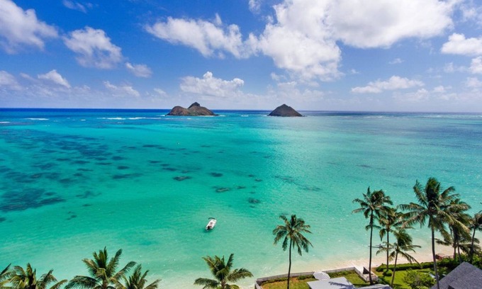 Keolu Hills House | Luxury Kailua Getaway 4BR/2BA for Families/Pets
