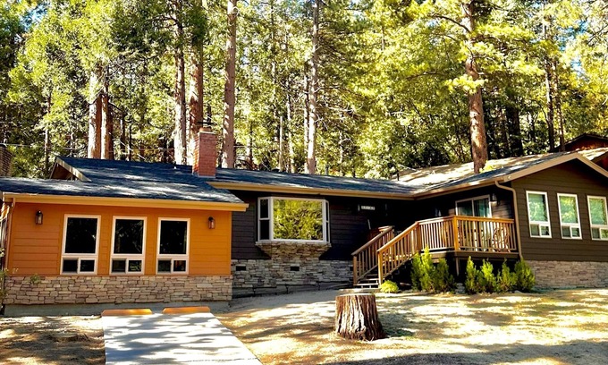 Pine Cove Cabin | Luxury Mountain Cabin - Dog Friendly! 30 day minimum stay.