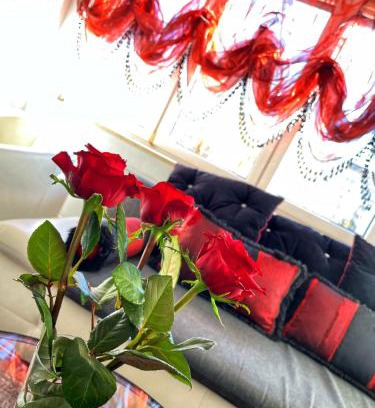 Radom Apartment | LUXURY RED APARTMENT by Marta