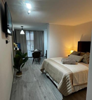 Downtown Santiago Apartment | M&C Departamento República 606