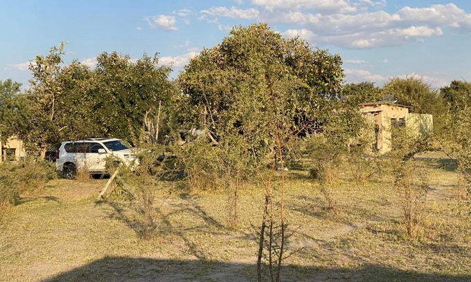 Maun Other | Mababe River Campsite