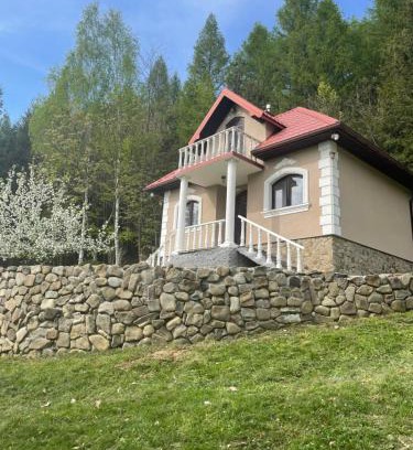 Nowy Zmigrod Apartment | Magurska enklawa- domek letniskowy