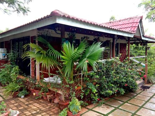 Mangaon Villa | Mahale Mansion in Tamhini Ghat, Devkund, Kolad Rafting