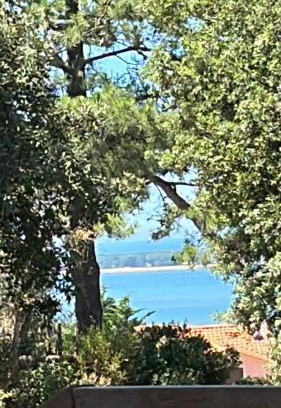 Pyla-sur-Mer House | Maison Albatros