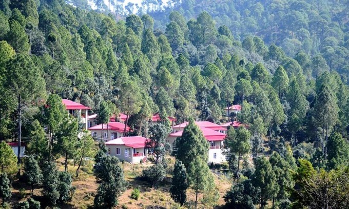 Majkhali Cabin | Majkhali Woods, Ranikhet, By Himalayan Eco Lodges