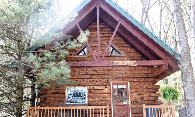 Leeper Cabin | Mama Bear Log Cabin near Cook Forest State Park