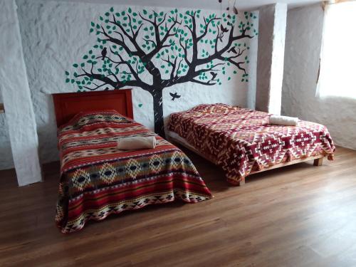 Ibarra House | Marambu Pukyu