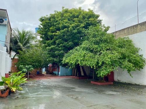 Marco House | Maravilhosa Residência perto da Cop 30