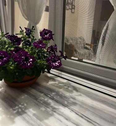 Nestos House | MARIALENA HOMe