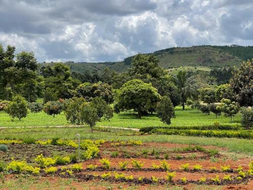 Kigoma House | MARK-A Karama Vacation
