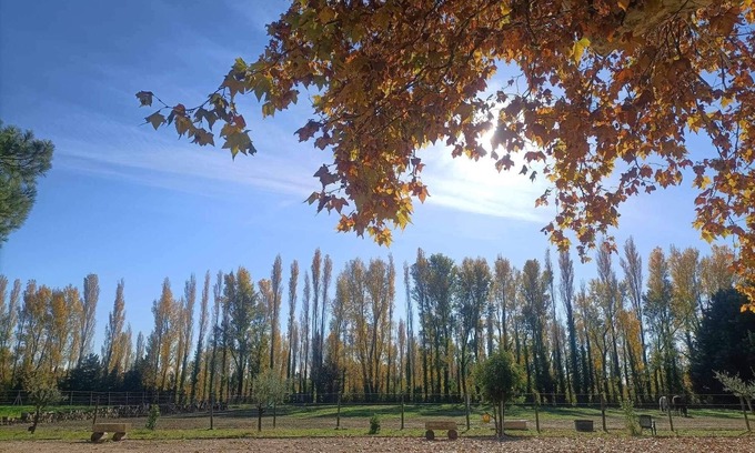 Mornas Other | Mas en Pierre du Xvième Rénové au Cœur de la Provence, Nature et Calme Garantis