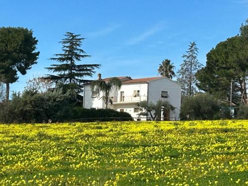 Caccianova Bed & Breakfast | Masseria Novelli