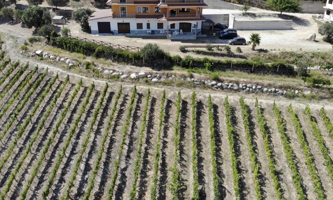 Satriano Other | Masseria Petrella