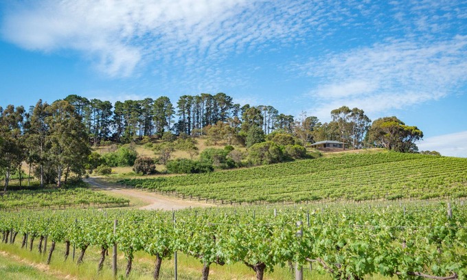 McLaren Flat House | McLaren Vale Getaways - Hillside House