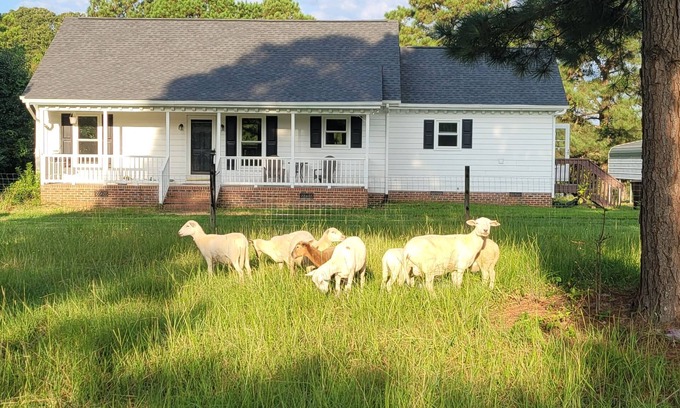 Kipling Other | Meadow Farm in Holly Springs, NC