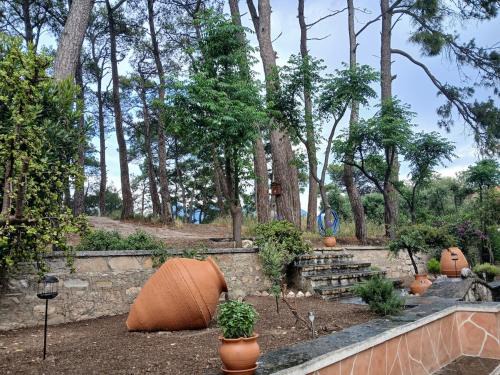 Karlovassi Apartment | Melody, Ground floor cottage Karlovasi Samos