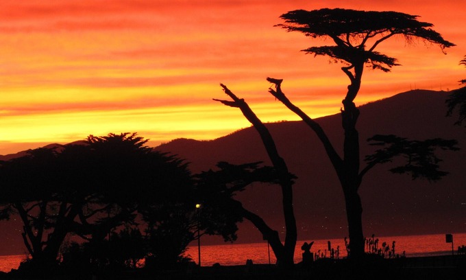 Pacific Grove Cottage | Mermaid Retreat, PET FRIENDLY, One Week Minimum Stay, Permit #0027