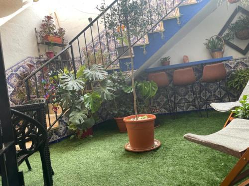 Alhaurin el Grande House | Mi pequeño paraiso