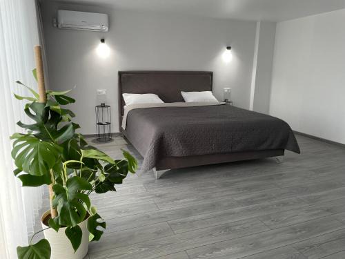 Calarasi Bed & Breakfast | Miraj House