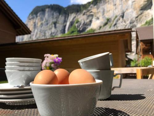 Lauterbrunnen House | Modern Apartment With Parking & Great Amenities