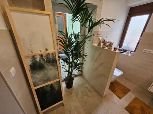 Solz Apartment | Modern, ruhig, gemütlich inmitten der Rhön
