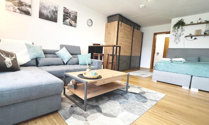 Mittelberg Apartment | Moderne, 1-Zimmer Ferienwohnung mit Bergblick