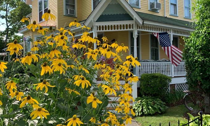 West Cape May House | Monarch Season! Pet friendly ,nWedding Party Accommodation Fall 2025