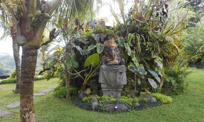 Taro Villa | Moringga Holiday Ubud