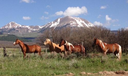 La Sal Bed & Breakfast | Mount Peale Country Inn