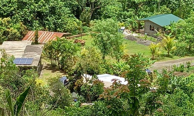 Georgetown Cottage | Mountain Cottage surrounded by the native birds, the Amazona Guildingii