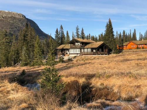 Fla Municipality House | Mountain Home At Haglebu With Activities