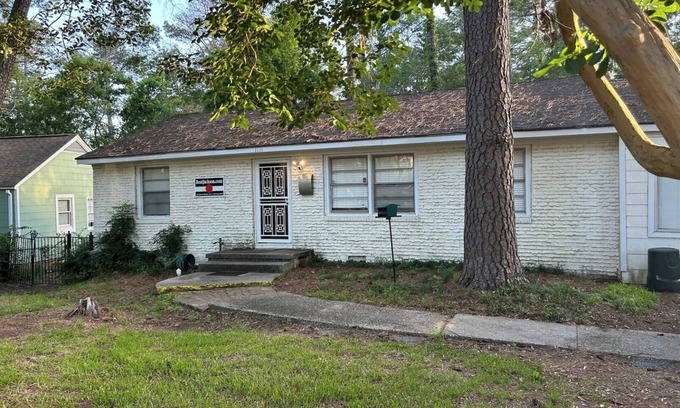 Tougaloo House | Mural House - Delightful 3 Br 2 Bath home in Fondren Area