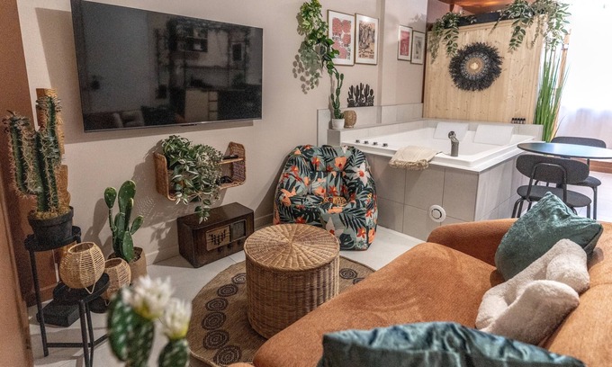 Blois Apartment | Murmures Cactus, Spa & Sauna in Blois