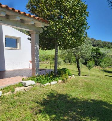 Berchidda Ski Chalet | NASTARRE'