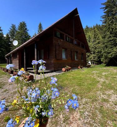 Zetea House | Natura BH