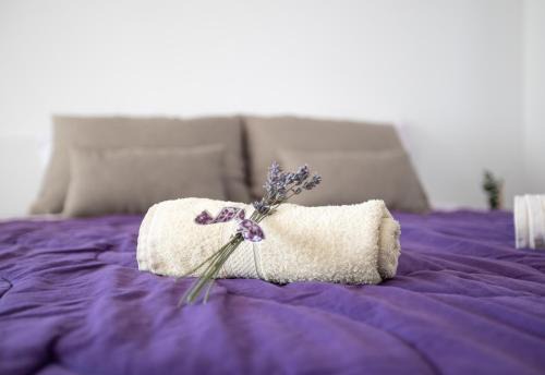 Vrhnika Apartment | Nauportus