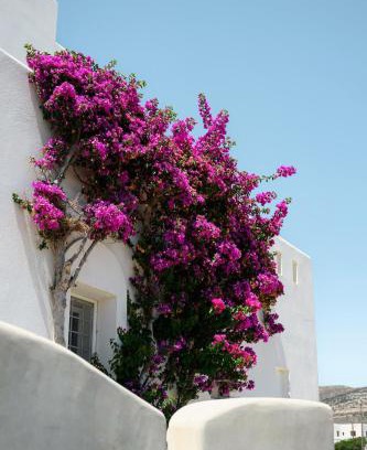Kastraki House | Naxos Kastraki Homey Villa with Sea View