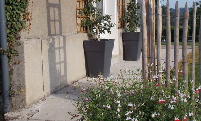 Belle-et-Houllefort House | NEAR WIMEREUX LODGE LARGE CAPACITY 21 PERS IN PEDAGOGICAL FARM