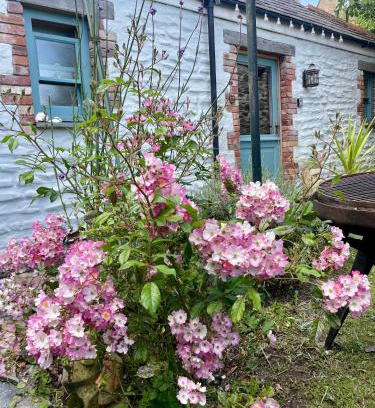 Charlestown House | Neptunes Rest
