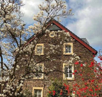 Graach Villa | Neu! Moselbleibe Altes Forsthaus
