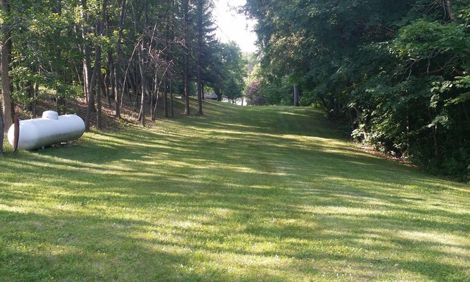 Brandon Cabin | New Listing! Family/ Dog friendly private cabin rental near Alexandria MN