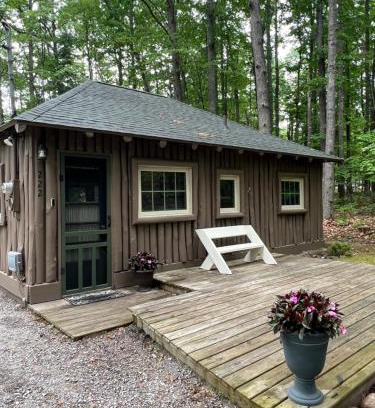 Higgins Lake House | New! The Higgins Lake Hideaway - Super Cute!