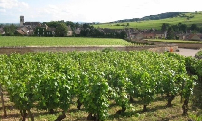 Pommard House | Newly renovated village home with views over the vines of Pommard