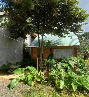 Kon Plong House | NHÀ GỖ 30M2 - WOOD HOME 30M2