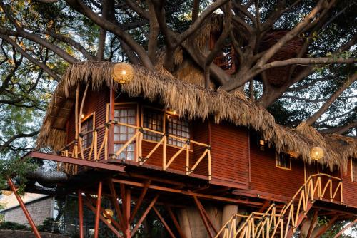 San Luis Soyatlan Cabin | Nido Ecoluxury - Villa San Luis Boutique