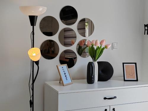 Sremska Mitrovica Apartment | Nora 2