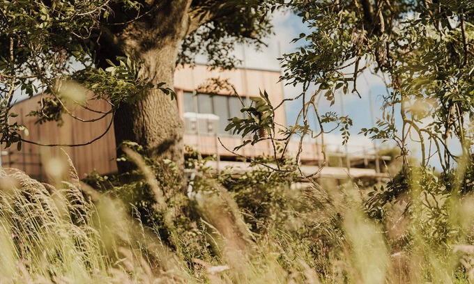 Wingate Cabin | Nuthatch Elevated Treehouse