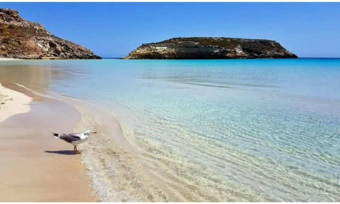 Caltabellotta Apartment | O'SCIà apartment in LAMPEDUSA